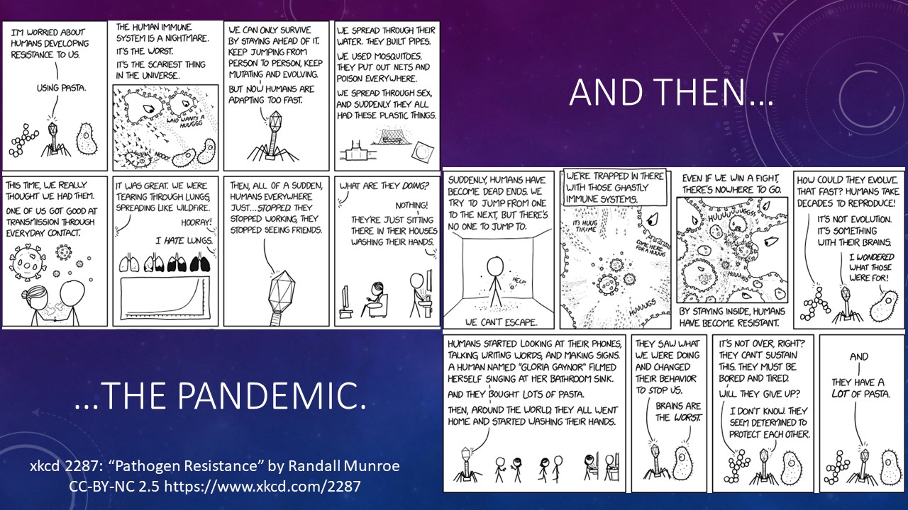 And Then, The Pandemic